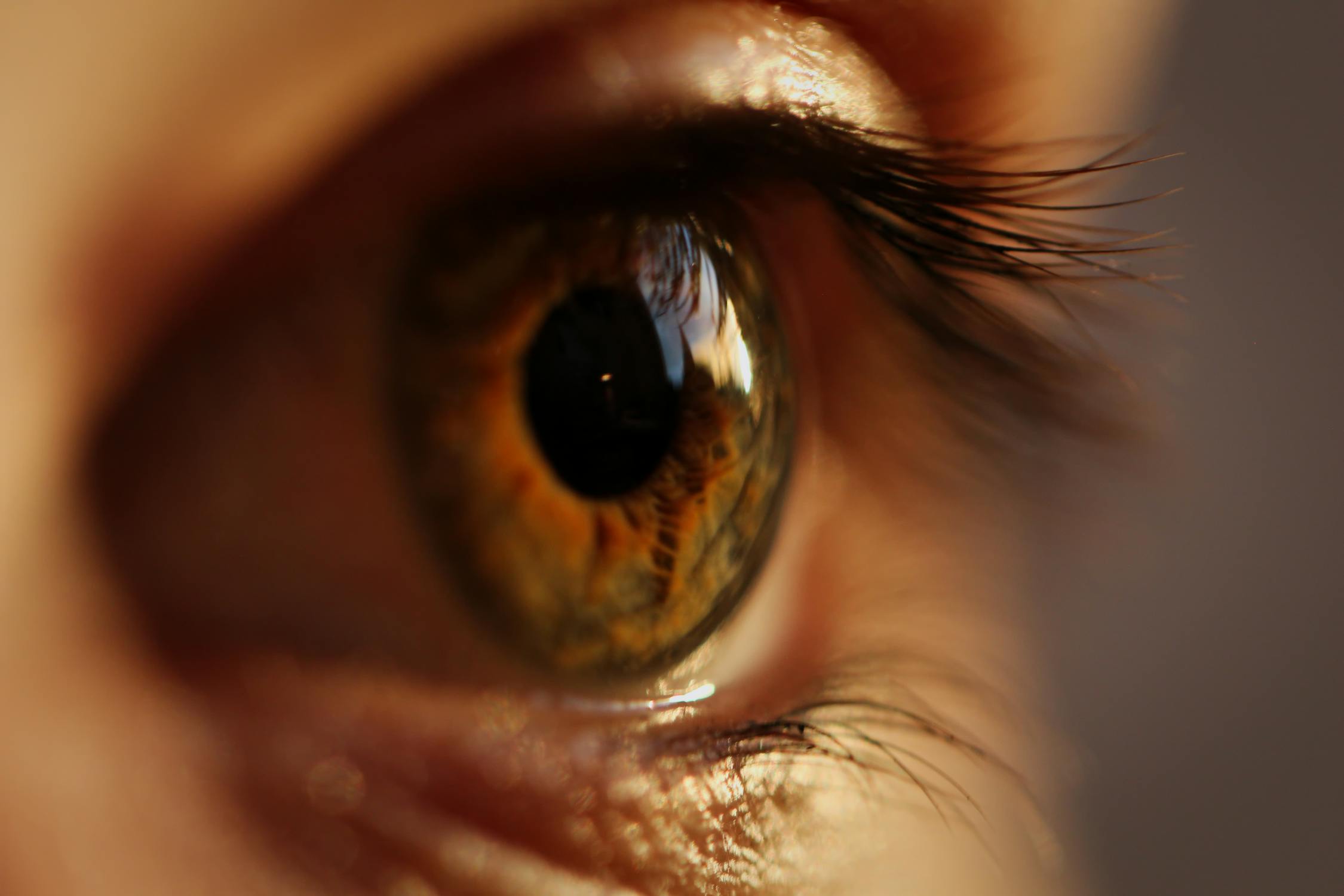 Close-up of a human iris